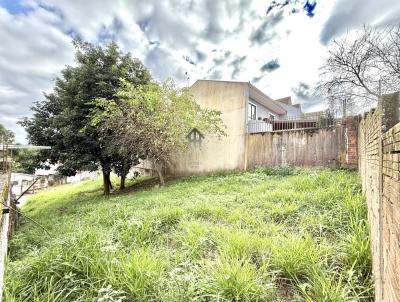 Terreno para Venda, em Curitiba, bairro Bairro Alto